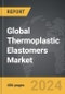Thermoplastic Elastomers - Global Strategic Business Report - Product Thumbnail Image