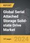Serial Attached Storage (SAS) Solid-state Drive (SSD) - Global Strategic Business Report - Product Thumbnail Image