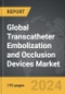 Transcatheter Embolization and Occlusion Devices - Global Strategic Business Report - Product Thumbnail Image
