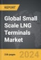 Small Scale LNG Terminals: Global Strategic Business Report - Product Thumbnail Image