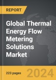 Thermal Energy Flow Metering Solutions - Global Strategic Business Report- Product Image