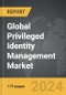 Privileged Identity Management - Global Strategic Business Report - Product Thumbnail Image