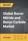 Boron Nitride and Boron Carbide: Global Strategic Business Report- Product Image