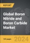 Boron Nitride and Boron Carbide - Global Strategic Business Report - Product Thumbnail Image