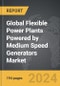 Flexible Power Plants Powered by Medium Speed Generators: Global Strategic Business Report - Product Thumbnail Image