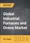 Industrial Furnaces and Ovens - Global Strategic Business Report - Product Thumbnail Image