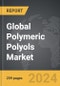 Polymeric Polyols: Global Strategic Business Report - Product Thumbnail Image