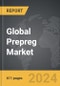 Prepreg (Pre-Impregnated Composite Fibers) - Global Strategic Business Report - Product Thumbnail Image