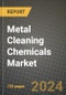 2024 Metal Cleaning Chemicals Market Outlook Report: Industry Size, Market Shares Data, Insights, Growth Trends, Opportunities, Competition 2023 to 2031 - Product Image