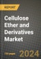 2024 Cellulose Ether and Derivatives Market Outlook Report: Industry Size, Market Shares Data, Insights, Growth Trends, Opportunities, Competition 2023 to 2031 - Product Image