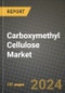 2024 Carboxymethyl Cellulose Market Outlook Report: Industry Size, Market Shares Data, Insights, Growth Trends, Opportunities, Competition 2023 to 2031 - Product Image