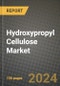2024 Hydroxypropyl Cellulose Market Outlook Report: Industry Size, Market Shares Data, Insights, Growth Trends, Opportunities, Competition 2023 to 2031 - Product Image