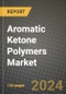 2024 Aromatic Ketone Polymers Market Outlook Report: Industry Size, Market Shares Data, Insights, Growth Trends, Opportunities, Competition 2023 to 2031 - Product Thumbnail Image