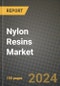 2024 Nylon Resins Market Outlook Report: Industry Size, Market Shares Data, Insights, Growth Trends, Opportunities, Competition 2023 to 2031 - Product Image