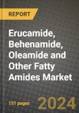 2024 Erucamide, Behenamide, Oleamide and Other Fatty Amides Market Outlook Report: Industry Size, Market Shares Data, Insights, Growth Trends, Opportunities, Competition 2023 to 2031- Product Image