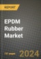 2024 EPDM Rubber Market Outlook Report: Industry Size, Market Shares Data, Insights, Growth Trends, Opportunities, Competition 2023 to 2031 - Product Thumbnail Image