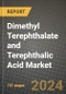 2024 Dimethyl Terephthalate and Terephthalic Acid Market Outlook Report: Industry Size, Market Shares Data, Insights, Growth Trends, Opportunities, Competition 2023 to 2031 - Product Image