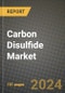 2024 Carbon Disulfide Market Outlook Report: Industry Size, Market Shares Data, Insights, Growth Trends, Opportunities, Competition 2023 to 2031 - Product Image