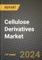 2024 Cellulose Derivatives Market Outlook Report: Industry Size, Market Shares Data, Insights, Growth Trends, Opportunities, Competition 2023 to 2031 - Product Thumbnail Image
