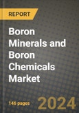 2024 Boron Minerals and Boron Chemicals Market Outlook Report: Industry Size, Market Shares Data, Insights, Growth Trends, Opportunities, Competition 2023 to 2031- Product Image