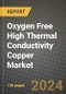 2024 Oxygen Free High Thermal Conductivity (OFHC) Copper Market Outlook Report: Industry Size, Market Shares Data, Insights, Growth Trends, Opportunities, Competition 2023 to 2031 - Product Thumbnail Image