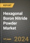2024 Hexagonal Boron Nitride (hBN) Powder Market Outlook Report: Industry Size, Market Shares Data, Insights, Growth Trends, Opportunities, Competition 2023 to 2031 - Product Image