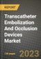 Transcatheter Embolization And Occlusion Devices Market Growth Analysis Report - Latest Trends, Driving Factors and Key Players Research to 2030 - Product Image