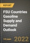 FSU Countries Gasoline Supply and Demand Outlook to 2028 - Product Thumbnail Image