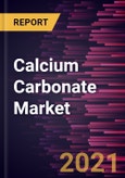 Calcium Carbonate Market Forecast to 2028 - COVID-19 Impact and Global Analysis by Type; Application- Product Image