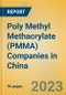 Poly Methyl Methacrylate (PMMA) Companies in China - Product Image