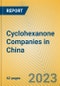 Cyclohexanone Companies in China - Product Thumbnail Image