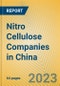 Nitro Cellulose Companies in China - Product Image