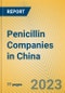 Penicillin Companies in China - Product Image