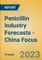 Penicillin Industry Forecasts - China Focus - Product Image