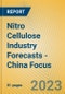 Nitro Cellulose Industry Forecasts - China Focus - Product Image