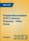 Polytetrafluoroetylene (PTFT) Industry Forecasts - China Focus - Product Thumbnail Image