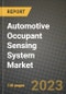 2023 Automotive Occupant Sensing System Market - Revenue, Trends, Growth Opportunities, Competition, COVID Strategies, Regional Analysis and Future outlook to 2030 (by products, applications, end cases) - Product Image