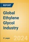 Global Ethylene Glycol Industry Outlook to 2028 - Capacity and Capital Expenditure Forecasts with Details of All Active and Planned Plants - Product Image