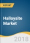 Halloysite Market Size, Share & Trends Analysis Report by Application, (Medical, Ceramics, Cosmetics, Paints, Cement, Polymers), by Region (APAC, Europe, North America, CSA, MEA), and Segment Forecasts, 2018 - 2025 - Product Thumbnail Image
