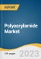 Polyacrylamide Market Size, Share & Trends Analysis Report By Product (Cationic, Anionic), By Application (Water Treatment, Oil & Gas), By Region (Asia Pacific, North America), And Segment Forecasts, 2023 - 2030 - Product Thumbnail Image