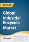 Global Industrial Enzymes Market Size, Share & Trends Analysis Report by Product (Carbohydrase, Proteases), Source (Plants, Animals, Microorganisms), Application (Food & Beverages, Detergents, Animal Feed), Region, and Segment Forecasts, 2024-2030 - Product Image