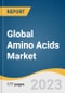Global Amino Acids Market Size, Share & Trends Analysis Report by Type (Essential, Non-essential), Source (Plant-based, Animal-based), Grade (Food, Feed), End-use (Food & Beverages, Dietary Supplements), Region, and Segment Forecasts, 2024-2030 - Product Image