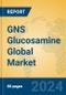 GNS Glucosamine Global Market Insights 2024, Analysis and Forecast to 2029, by Manufacturers, Regions, Technology, Application - Product Image