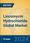 Lincomycin Hydrochloride Global Market Insights 2024, Analysis and Forecast to 2029, by Manufacturers, Regions, Technology, Application, Product Type - Product Thumbnail Image