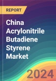 China Acrylonitrile Butadiene Styrene Market Analysis: Capacity By Companyby Company, Operating Efficiency, Capacity By Process, Capacity By Technology, Demand By Sales Channel, Demand By End Use, Demand By Region, Company Share, Foreign Trade 2015-2030- Product Image