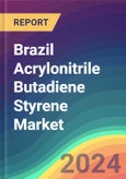 Brazil Acrylonitrile Butadiene Styrene Market Analysis: Capacity By Company, Capacity By Location, Production By Company, Operating Efficiency, 2015-2030- Product Image