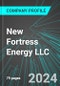 New Fortress Energy LLC (NFE:NAS): Analytics, Extensive Financial Metrics, and Benchmarks Against Averages and Top Companies Within its Industry - Product Thumbnail Image