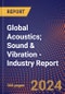 Global Acoustics; Sound & Vibration - Industry Report - Product Thumbnail Image
