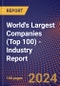 World's Largest Companies (Top 100) - Industry Report - Product Image