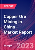 Copper Ore Mining in China - Industry Market Research Report- Product Image